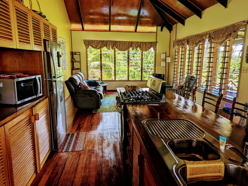 Open kitchen with timber cabinets