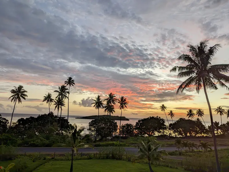 Palm trees silhouetted against a pink sunset
